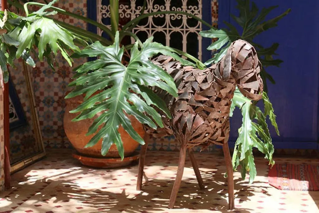 Riad Dar Colline Marakéš